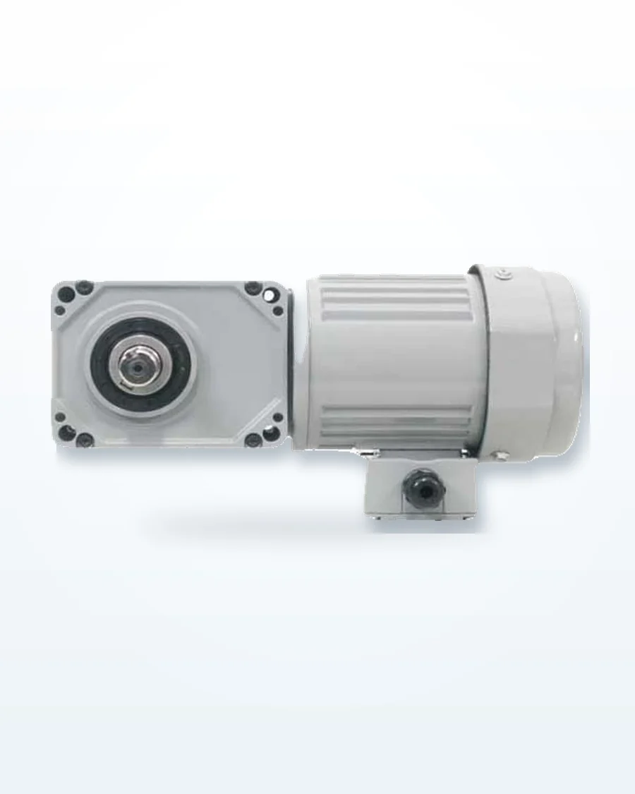 Motor giảm tốc trục vuông góc cốt dương Houle