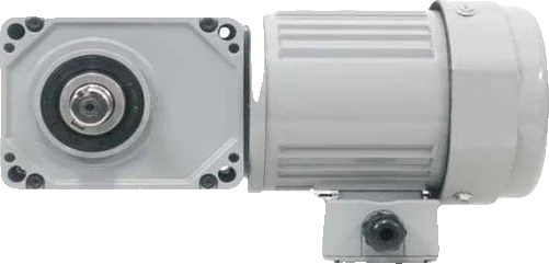 Motor giảm tốc trục vuông góc cốt dương Houle - ảnh 2